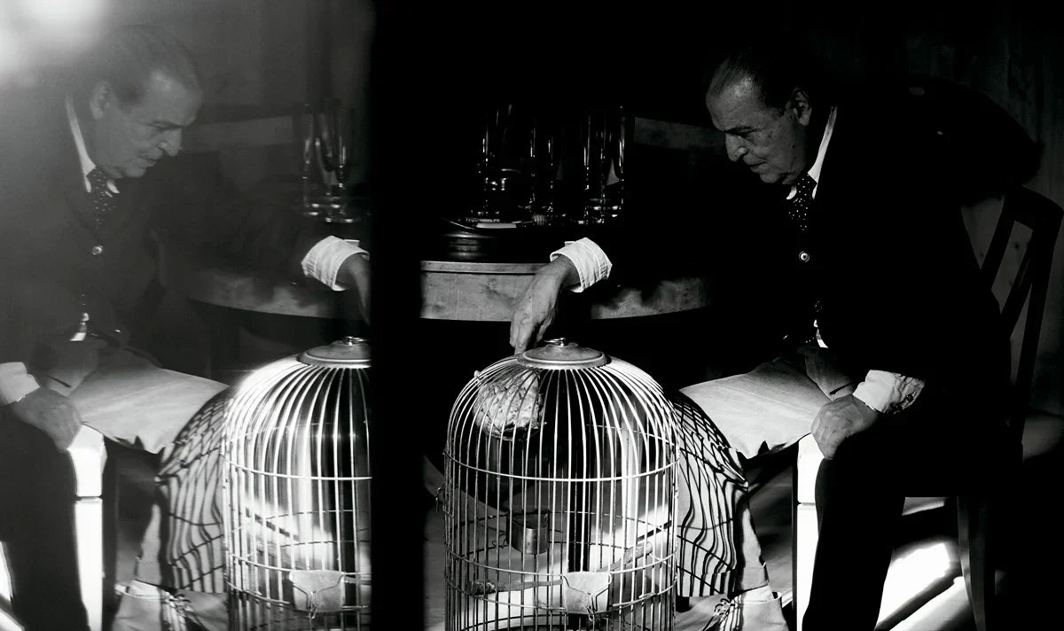 THE HOUSE OF XAVIER CORBERÓ - Daniel Riera Book