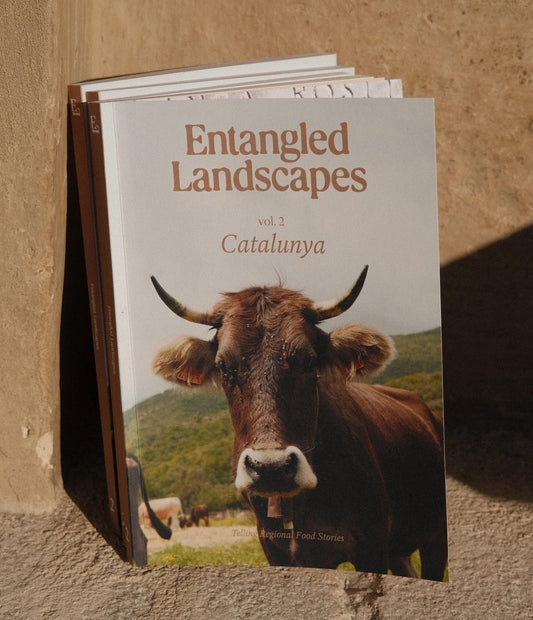 ENTANGLED LANSCAPES. VOL 2 CATALUNYA - Print Magazine