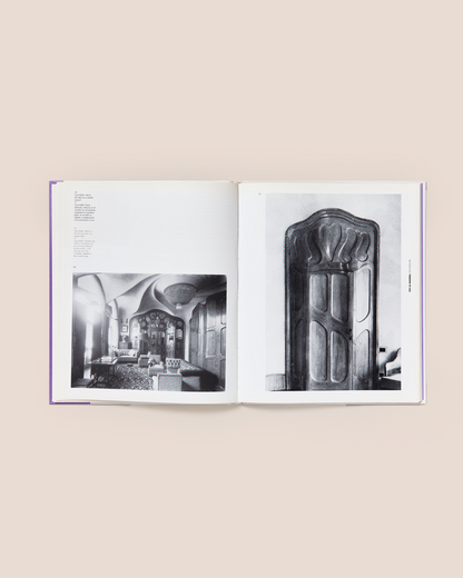 ANTONI GAUDÍ - David Ferrer Book