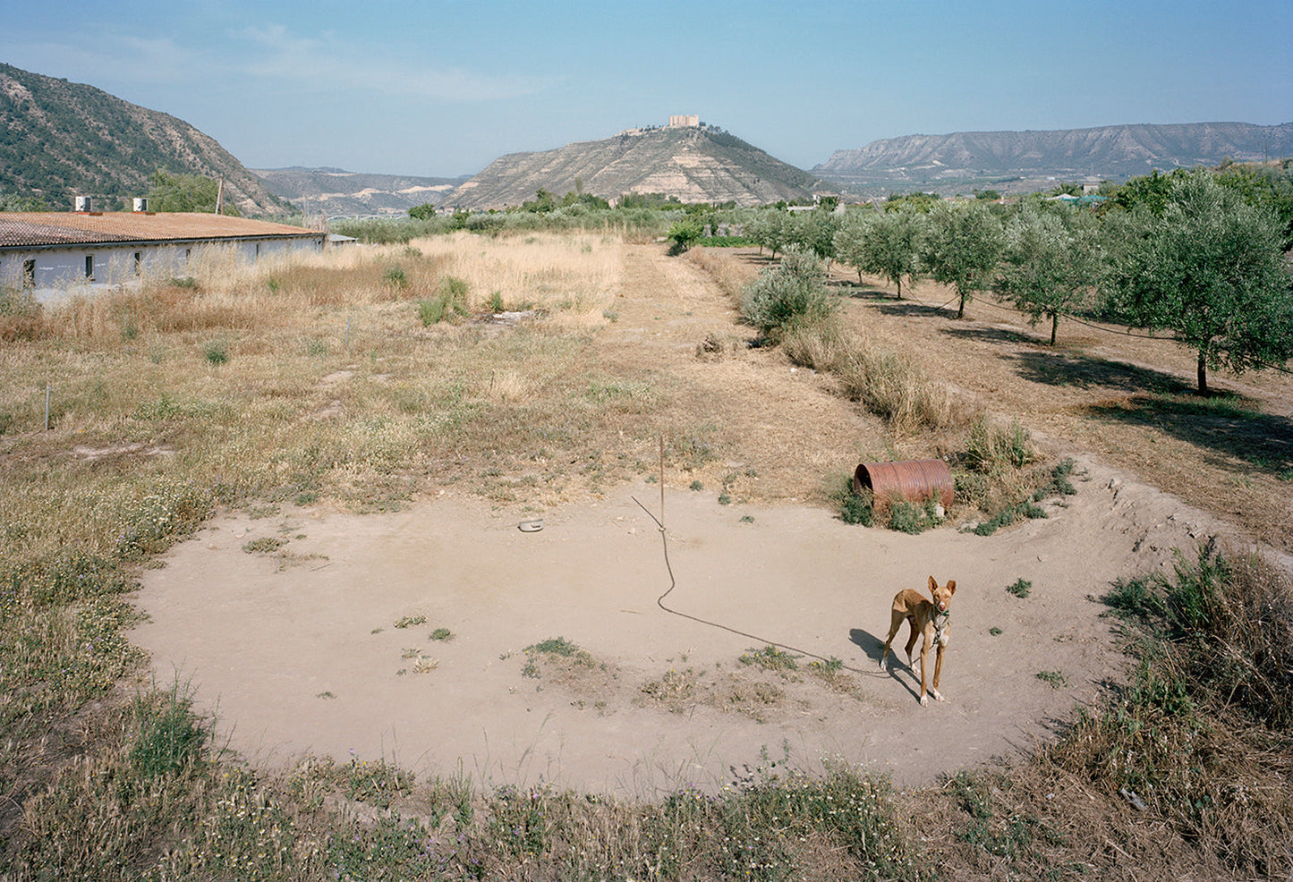 THE WAITING GAME III - Txema Salvans Book