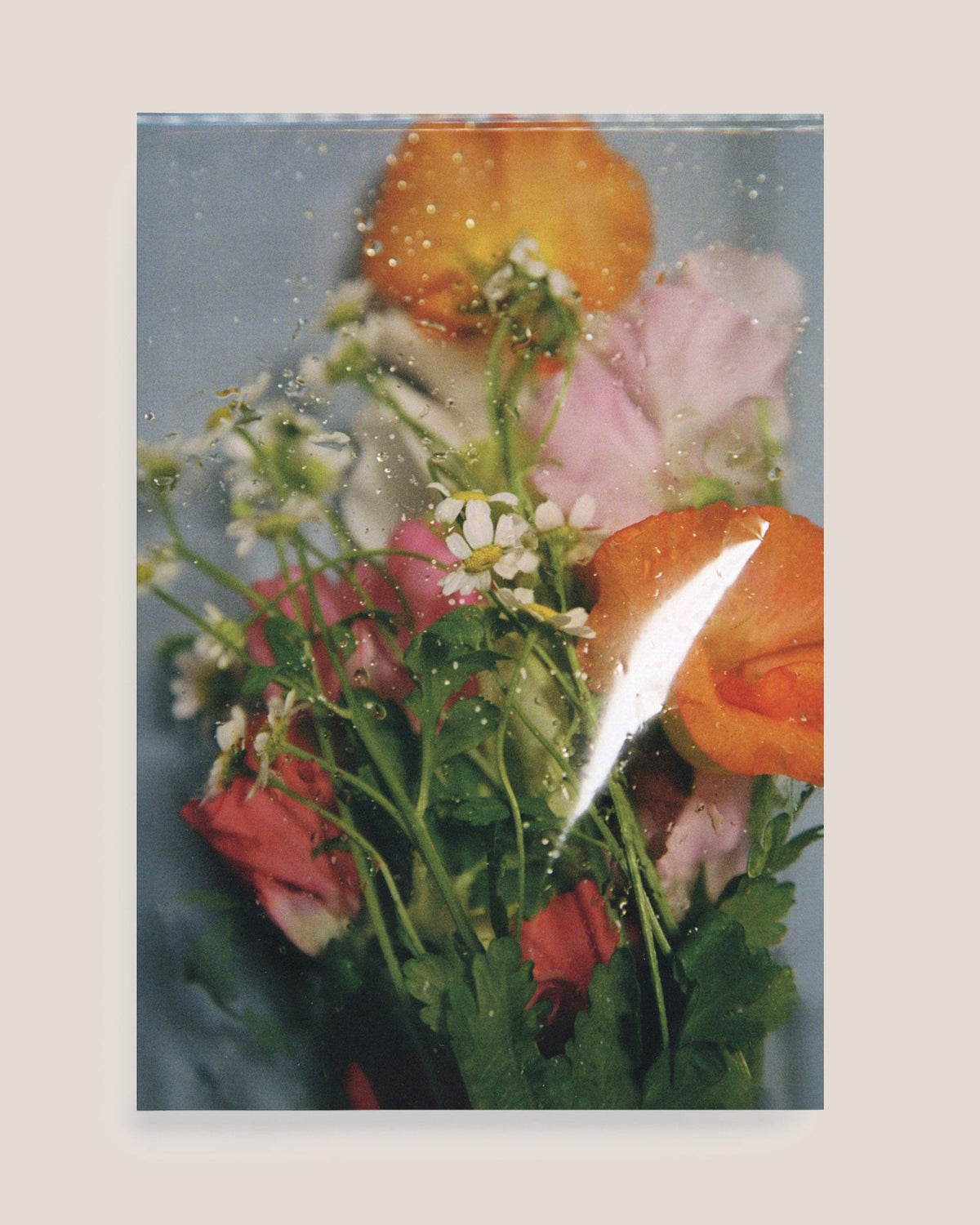 CHERRY BLOSSOM, DON'T CRY - Alba Yruela Book