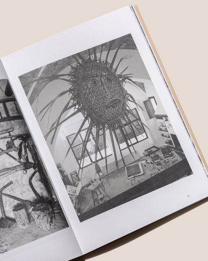 HORTA PICASSO - Jean Marie del Moral Book