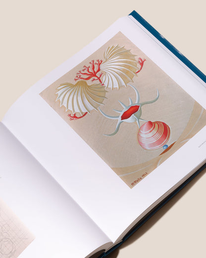 MARUJA MALLO - Oil Paintings Book