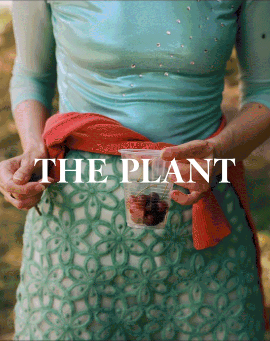 THE PLANT MAGAZINE - Issue 24