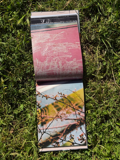 CHERRY BLOSSOM, DON'T CRY - Alba Yruela Book
