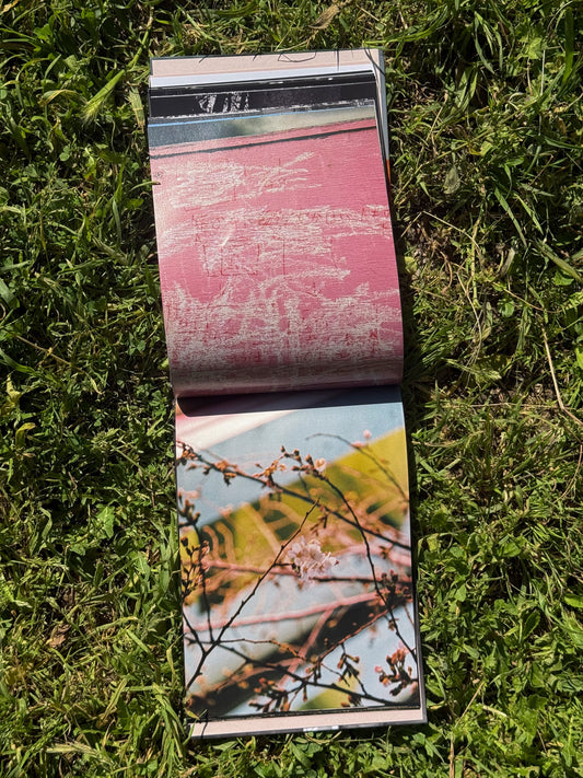 CHERRY BLOSSOM, DON'T CRY - Alba Yruela Book