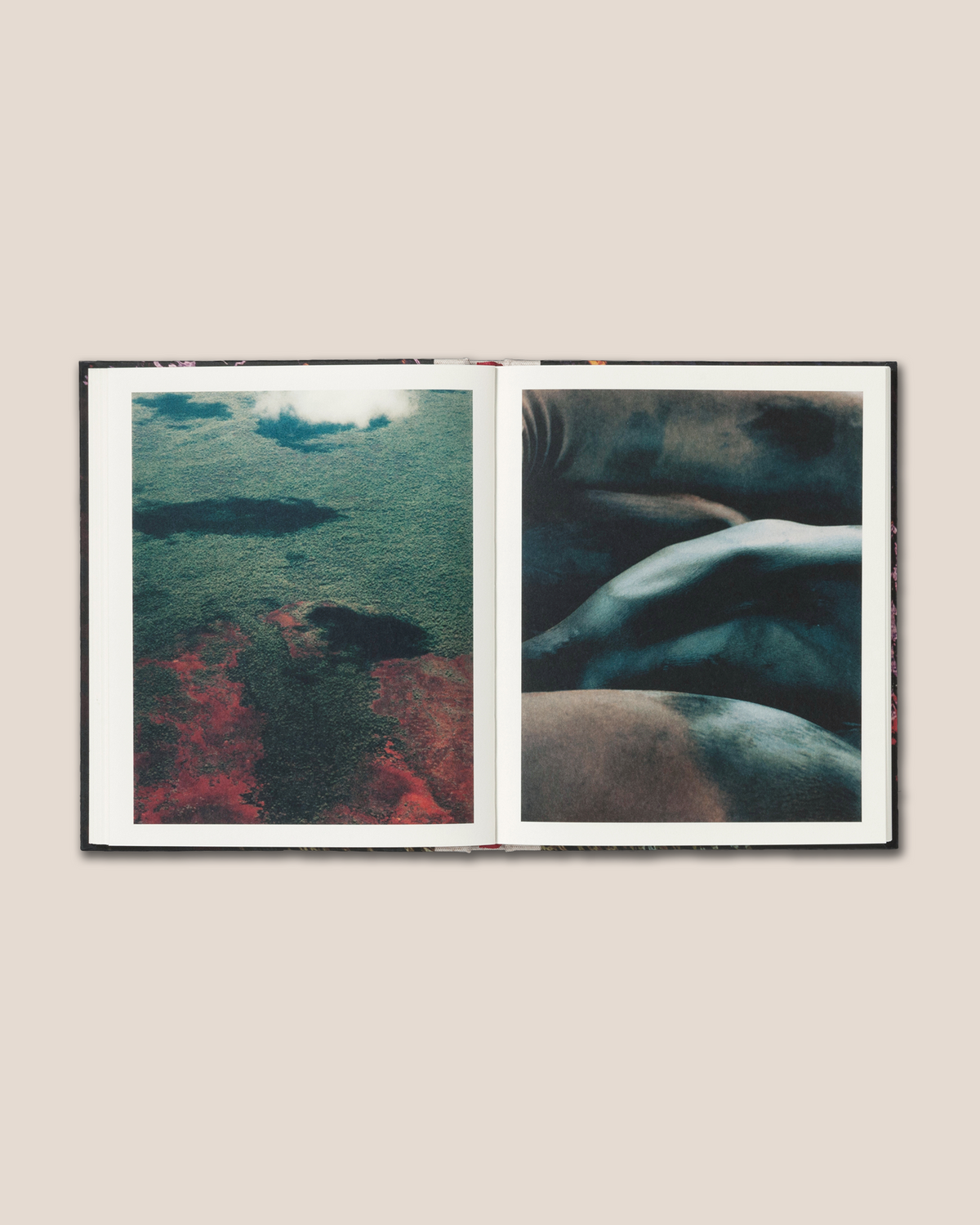 DÍAS - Pia Riverola Book