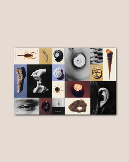 THE PLANT MAGAZINE - Issue 25