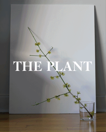 THE PLANT MAGAZINE - Issue 25