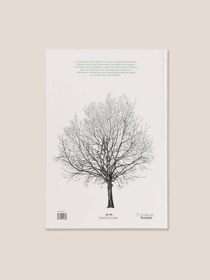 LA ARQUITECTURA DE LOS ÁRBOLES - Cesare Leonardi & Franca Stagi Book